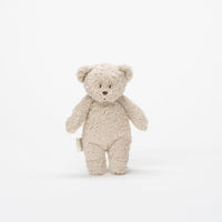 Lítill skynjunarbangsi