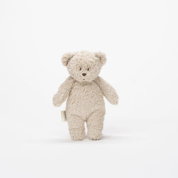 Lítill skynjunarbangsi