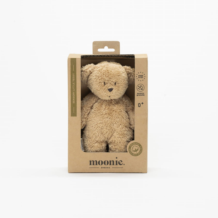 Lítill skynjunarbangsi