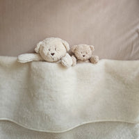 Lítill skynjunarbangsi